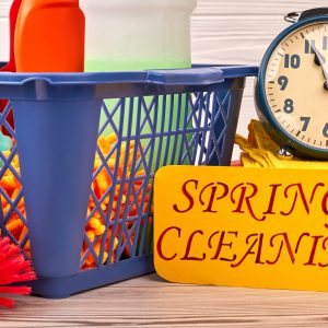 Spring Cleaning is More than Washing Windows and Baseboards