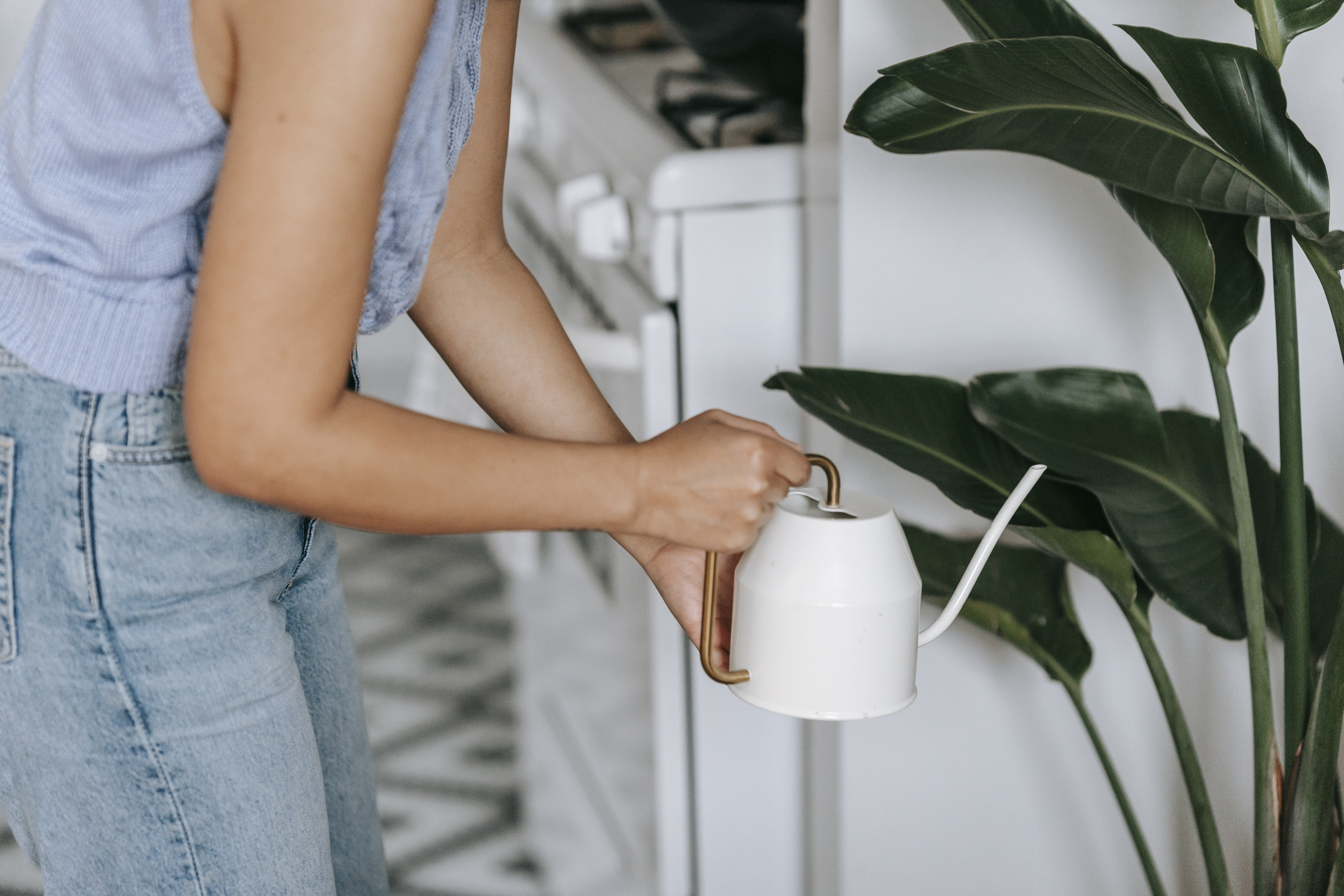 Anonymous woman watering plant in kitchen