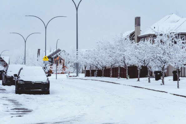 Cars parked on snow covered road and trees